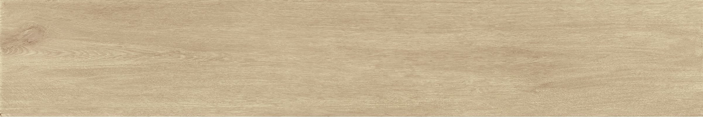V52500041 Nebraska Tea 25x150