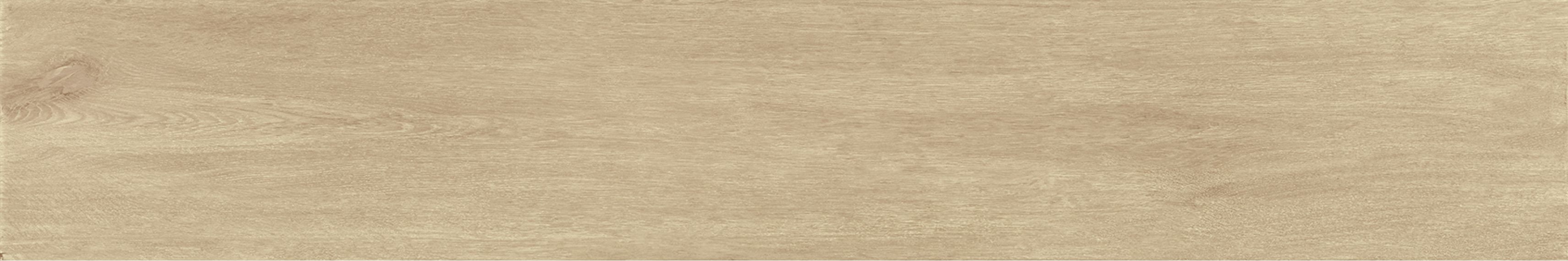 V52500041 Nebraska Tea 25x150