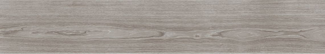 V5250007 Minnesota Ash 25x150