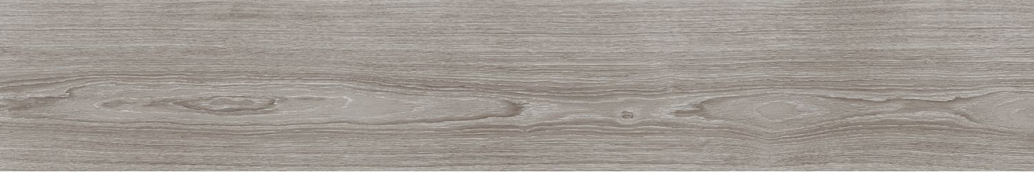 V5250007 Minnesota Ash 25x150