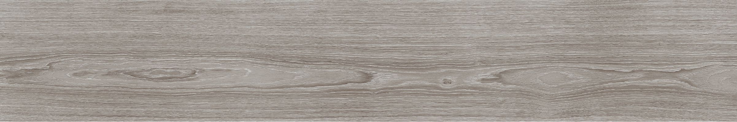 V5250007 Minnesota Ash 25x150