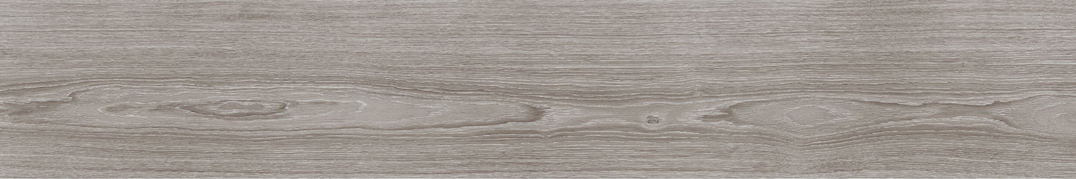 V5250007 Minnesota Ash 25x150