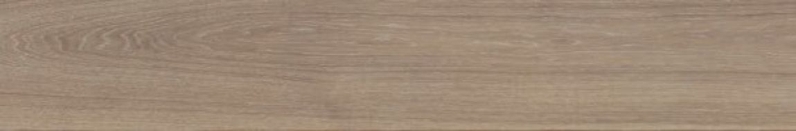 V52500081 Minnesota Camel 25x150