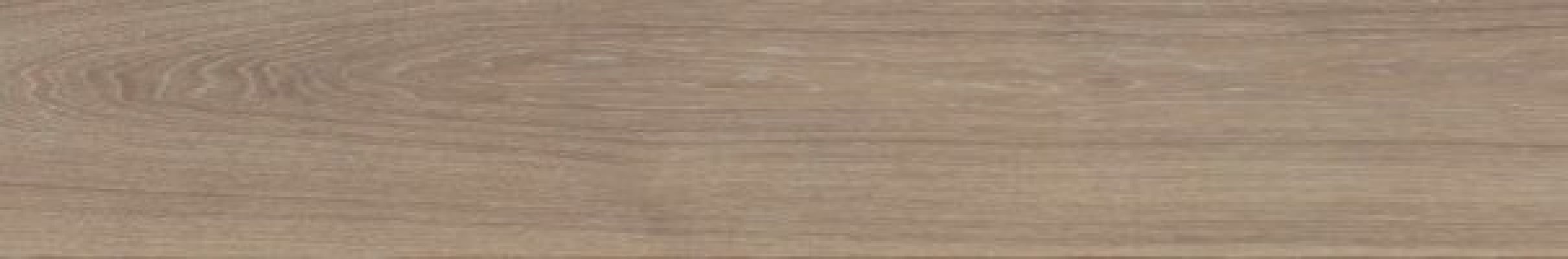 V52500081 Minnesota Camel 25x150
