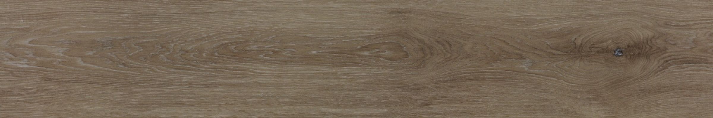 V5250010 Minnesota Moka 25x150