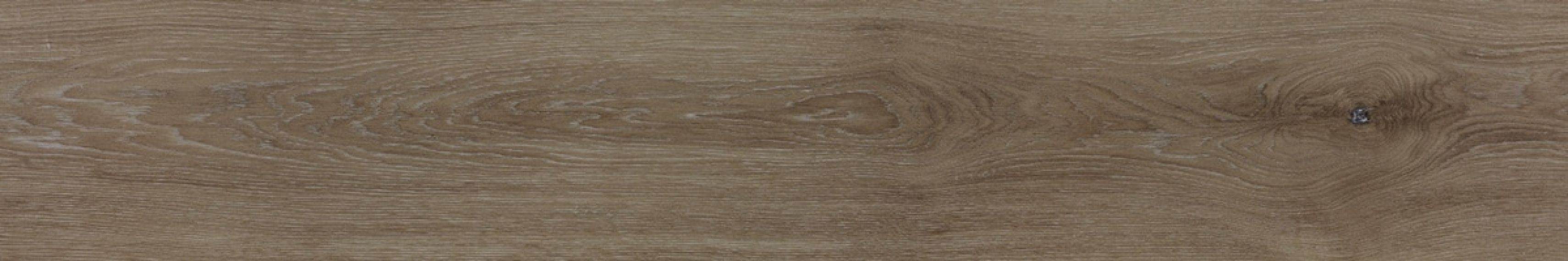V5250010 Minnesota Moka 25x150