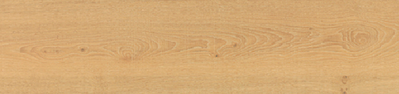 V5250087 Vancouver HONEY 25x150