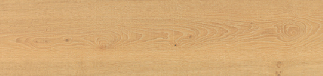 V5250087 Vancouver HONEY 25x150