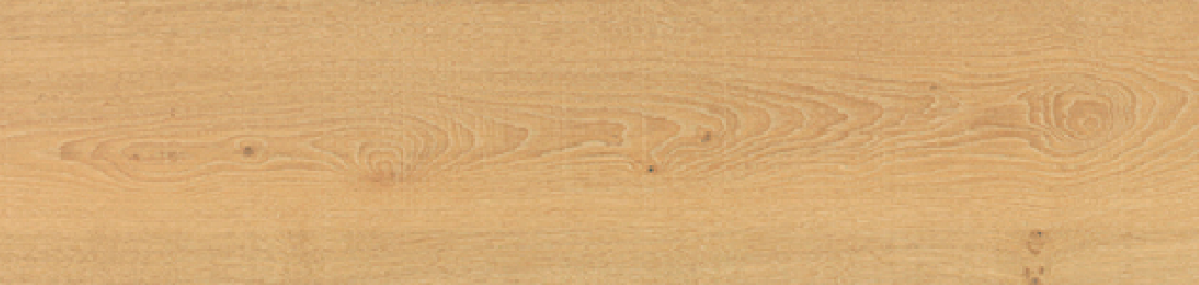V5250087 Vancouver HONEY 25x150