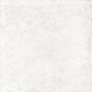 V5590694 Ocean Caliza 59.6x59.6