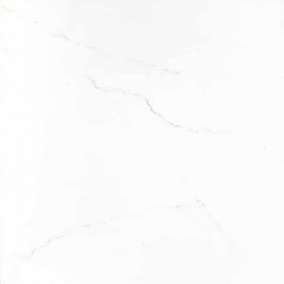 V55907521 Praga White 58,6x58,6
