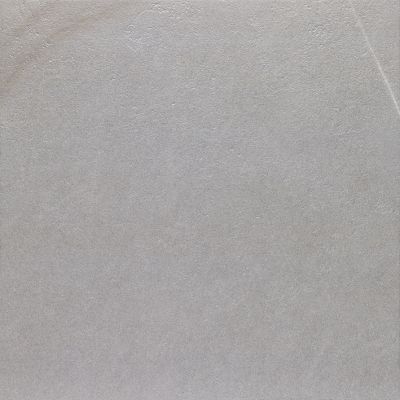 V55908031 Dayton Ash 59,6x59,6