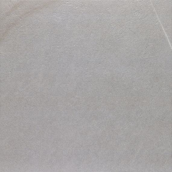 V55908031 Dayton Ash 59,6x59,6