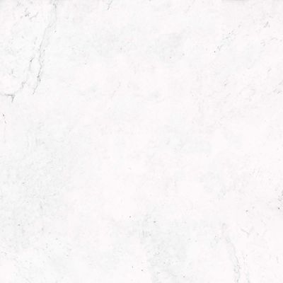 V5590844 RIVOLI 59.6x59.6