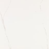 V55909011 Artic Nature 59.6x59.6