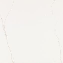 V55909011 Artic Nature 59.6x59.6