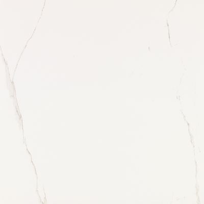V55909011 Artic Nature 59.6x59.6