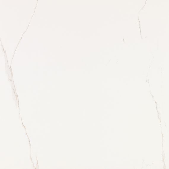 V55909011 Artic Nature 59.6x59.6
