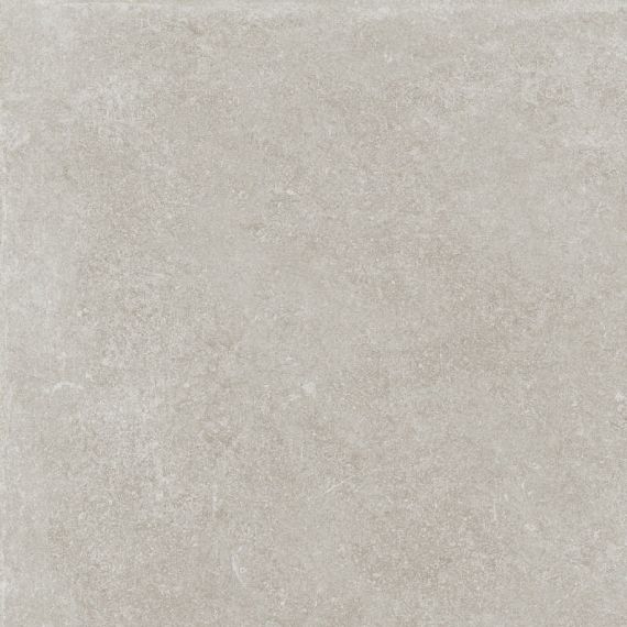 V55909391 Verbier Silver 59.6x59.6