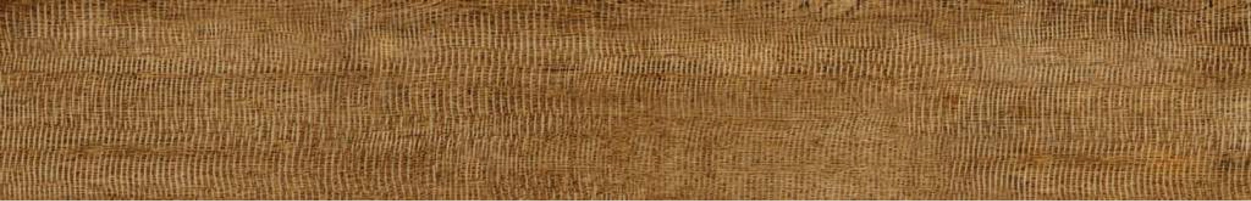 V59200501 Alaska Natural 19.3x120