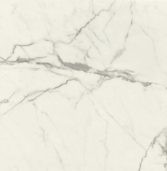 VANITY BIANCO STATUARIO Polished 120x120