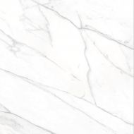 VARENNA CARRARA Nat.Rect. compacglass 60*60
