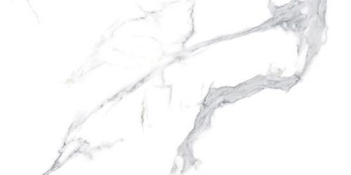 VELO Bianco Polished 60x120