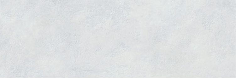 VICTORIA BLANCO REV. 20х60