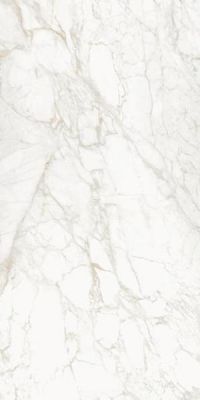 Vagli Bookmatch Gold A Polished 160x320