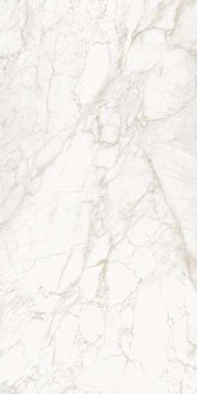 Vagli Bookmatch Gold B Polished 160x320