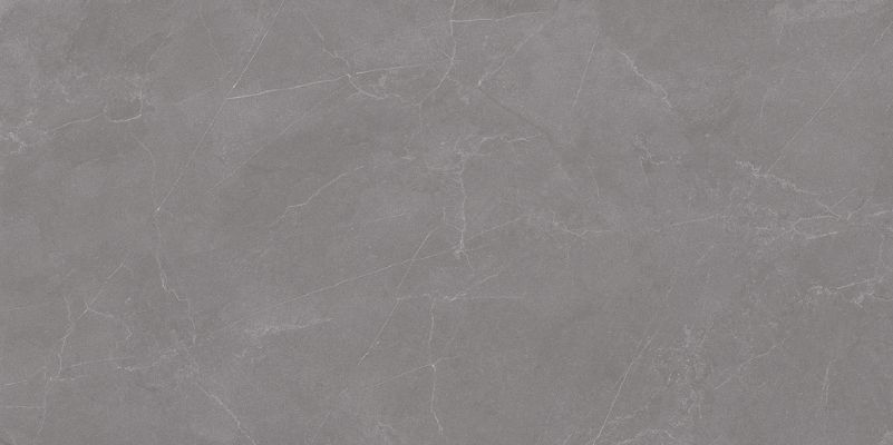 Valencia Grey Matt 60x120