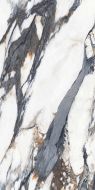 Vary Dark polished 60x120