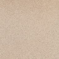 Vega бежевый 16-01-11-488 38,5х38,5