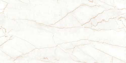 Velvet Bottochino Natural Polished 60х120