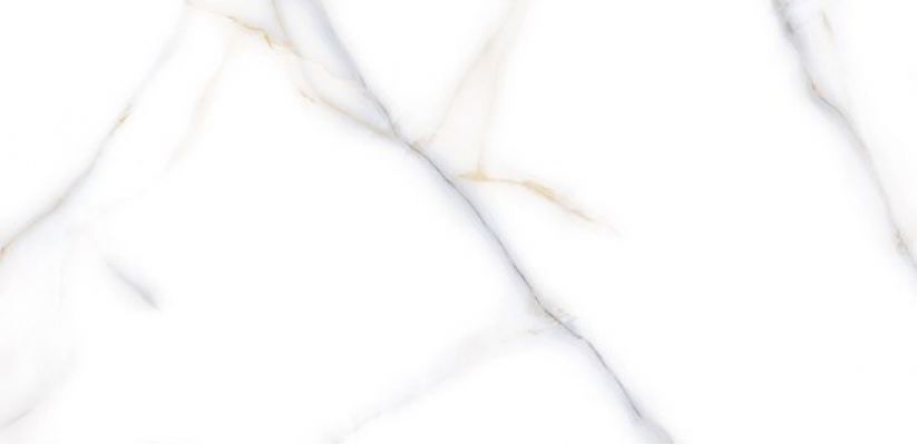Venato Bianco PGVT 60x120