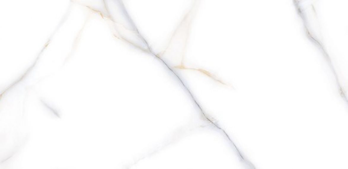 Venato Bianco PGVT 60x120