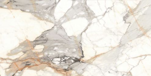 Venato Carrara High Glossy 80x160