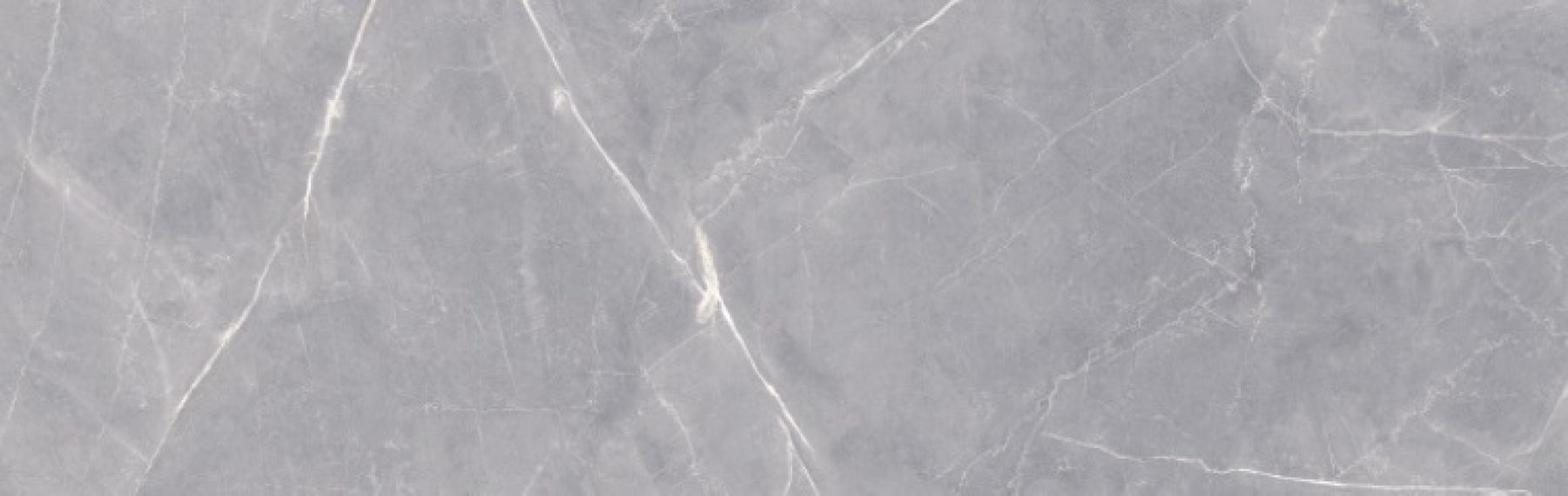Venato Pulpis Gris 31.5x100