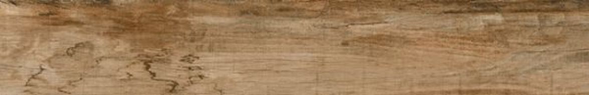 Veneto-R Canela 19.2x119.3