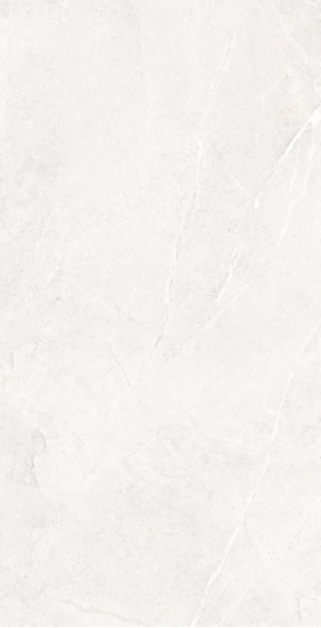 Venice White Matt 60x120