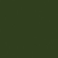 Verde Botella Brillo 20*20