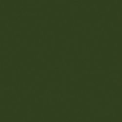 Verde Botella Brillo 20*20
