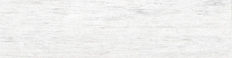 Vienna GP White 14,7x59,4