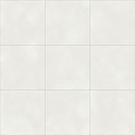 Vienna White Natural R10 59.2х59.2