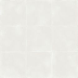 Vienna White Natural R10 59.2х59.2