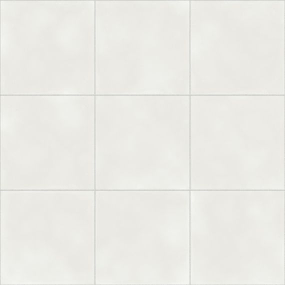 Vienna White Natural R10 59.2х59.2