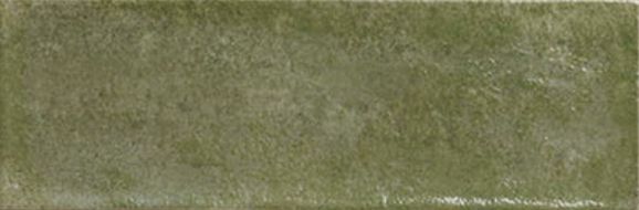 Village Palms 10x30