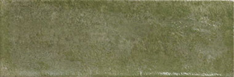 Village Palms 10x30