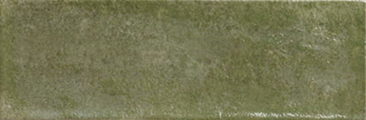 Village Palms 10x30