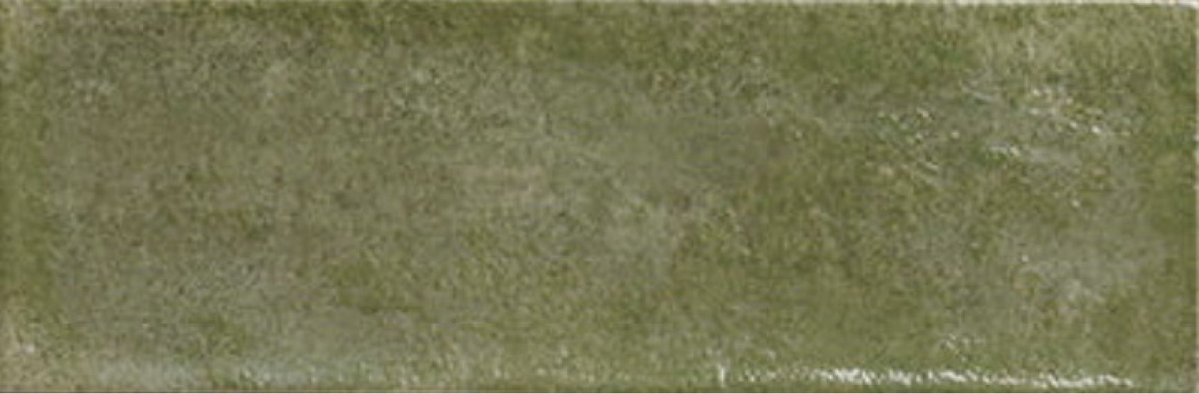 Village Palms 10x30